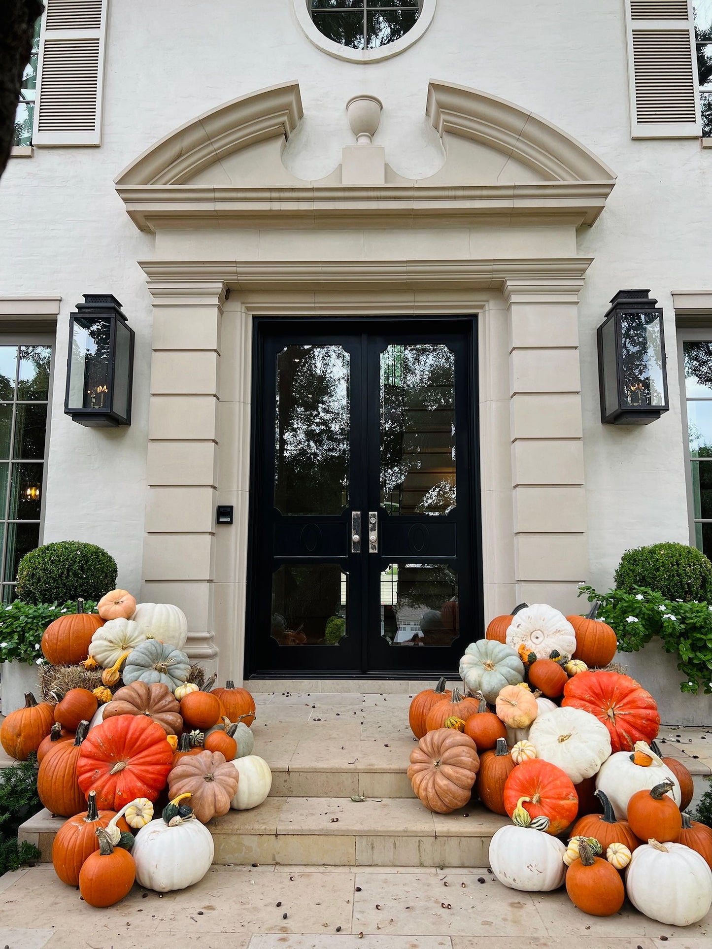 Pumpkin Palooza (Premium)