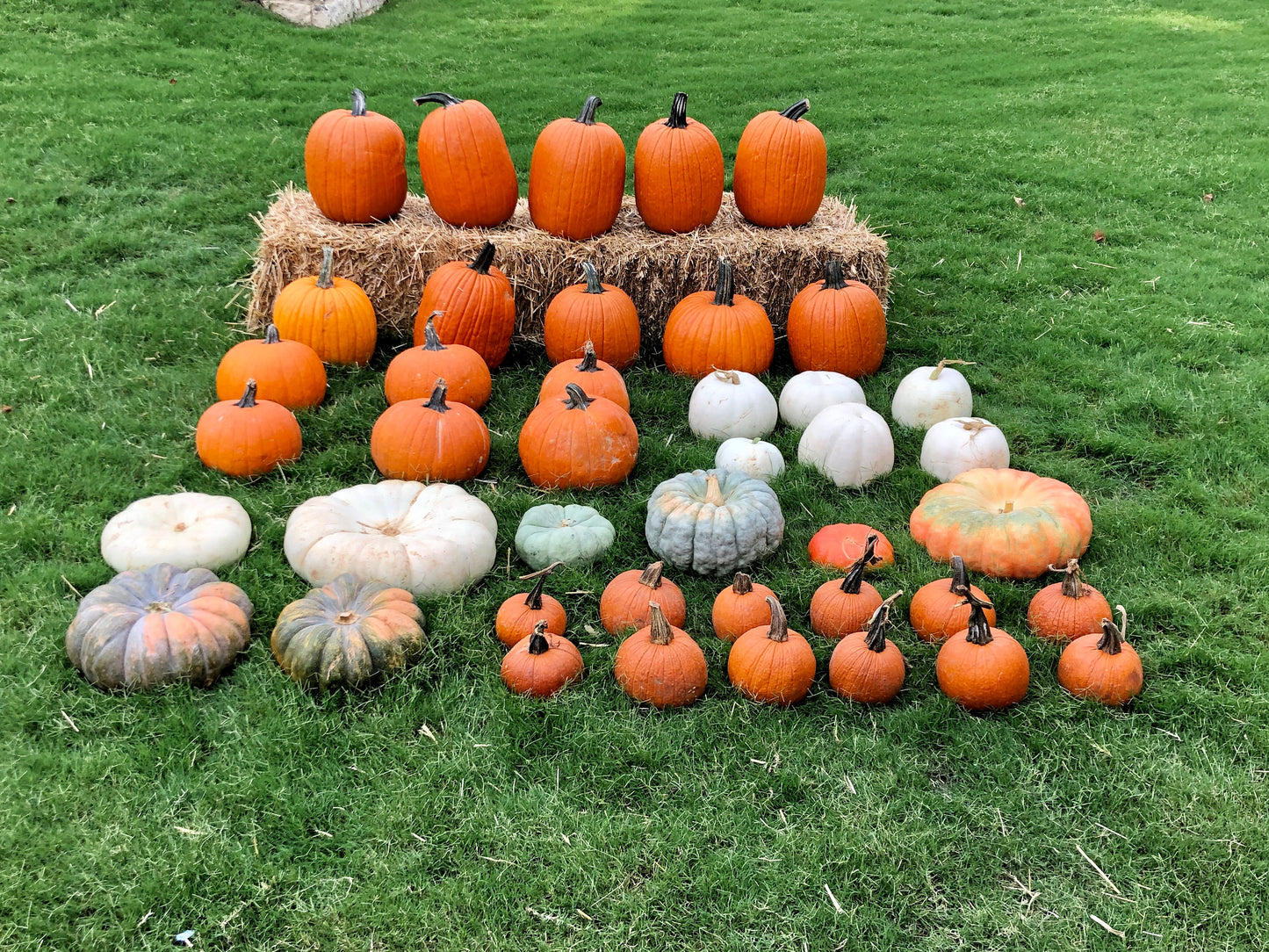 Gourd Vibes Only (Deluxe)