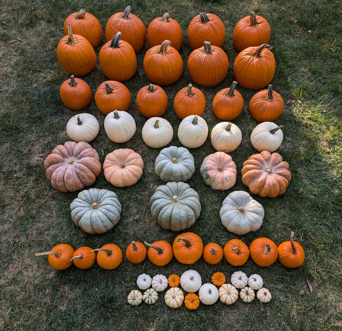 Gourd Vibes Only (Deluxe)