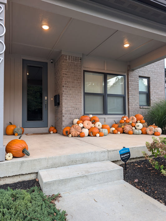 Pumpkin Palooza (Premium)