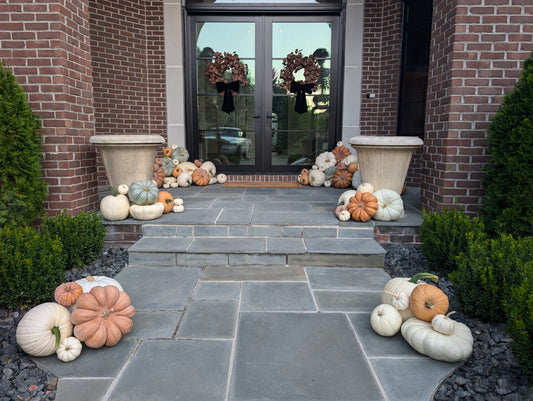Pumpkin Palooza (Premium)